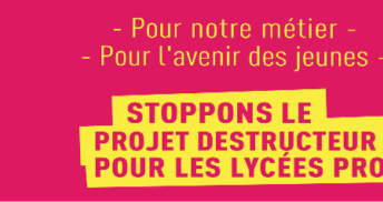 Pour défendre la voie pro et gagner pour nos salaires : mobilisation le 18 (…)